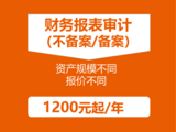 5.报表审计02.png